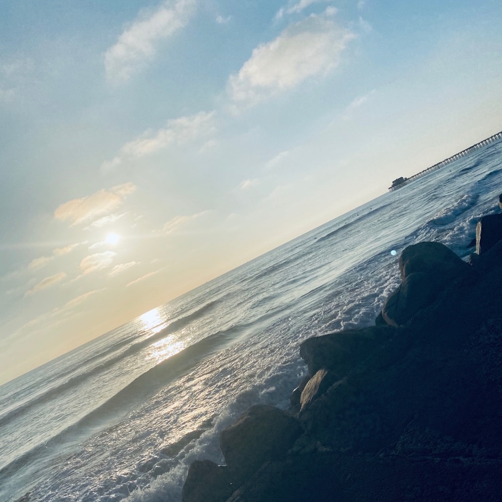 Meet your Posher, Patty